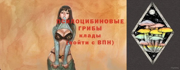 марки lsd Бородино