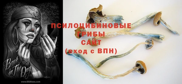 ПСИЛОЦИБИНОВЫЕ ГРИБЫ Верхнеуральск