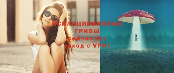 марки lsd Бородино