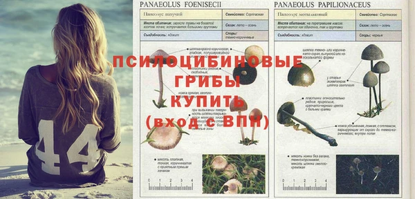 a pvp Верея