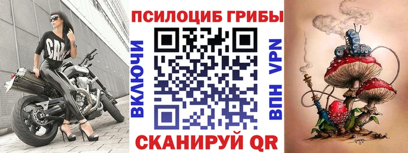 Галлюциногенные грибы Psilocybine cubensis Купить закладки Константиновск
